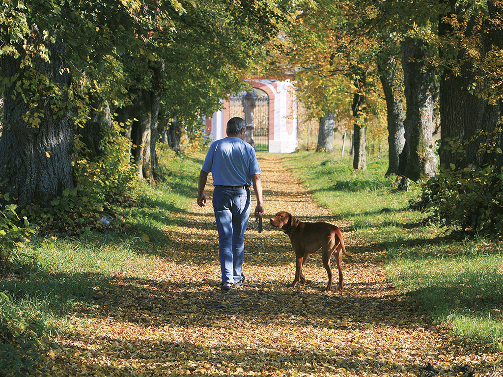 heimat_natur_2